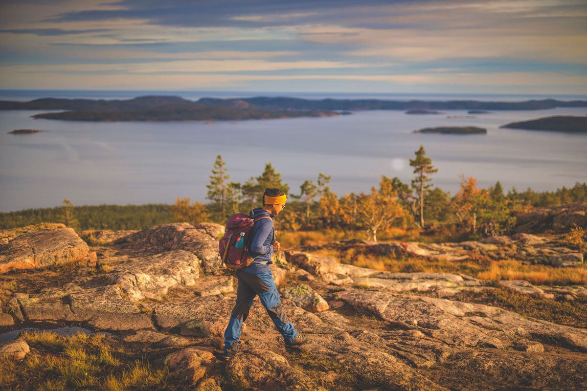 Wikinger in Südschweden